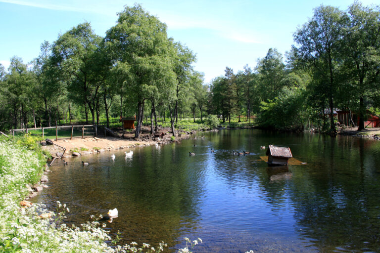 Andedammen duck pond in summer.
