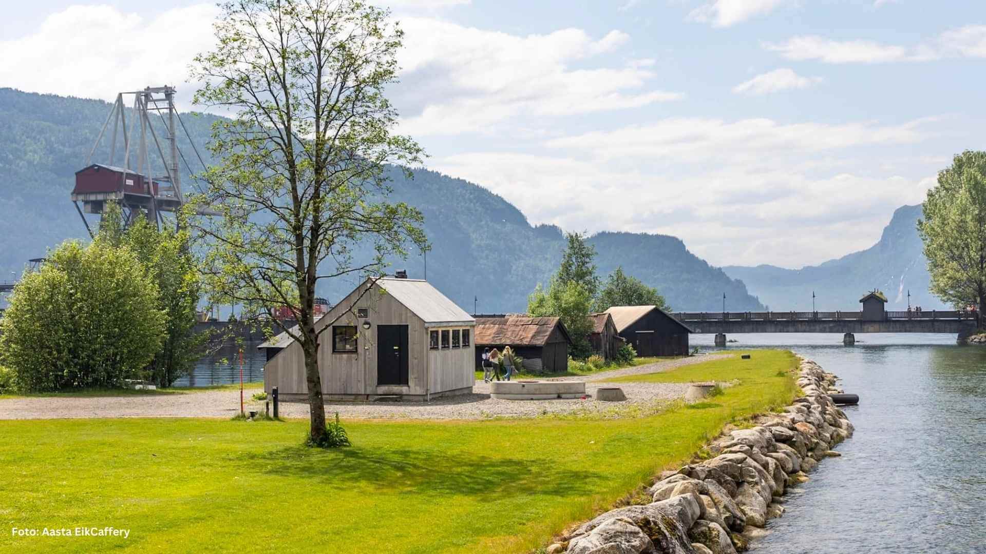 Bilde av parkanlegg ved elv om sommeren.